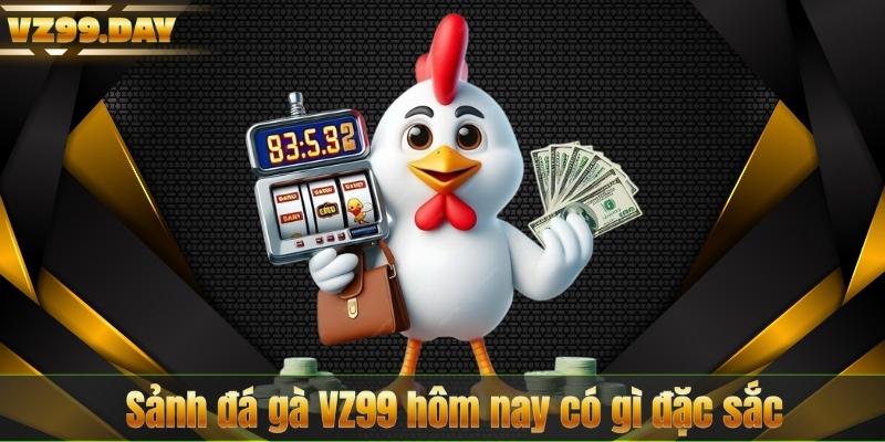 Sảnh đá gà VZ99 hôm nay có gì đặc sắc